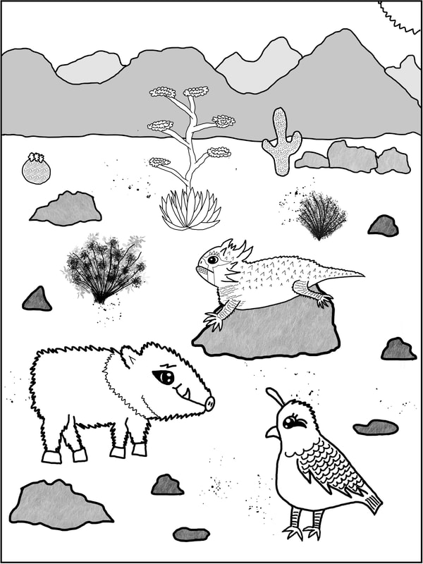 Download coloring page of Javier the Javelina animals